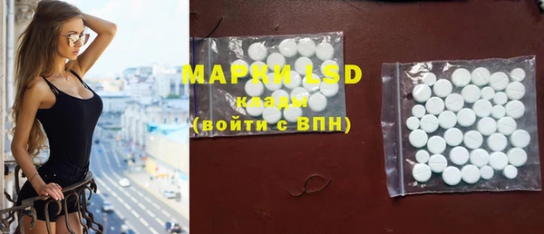 прущие грибы Беломорск