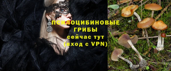 прущие грибы Беломорск