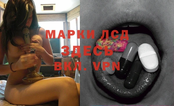 прущие грибы Беломорск