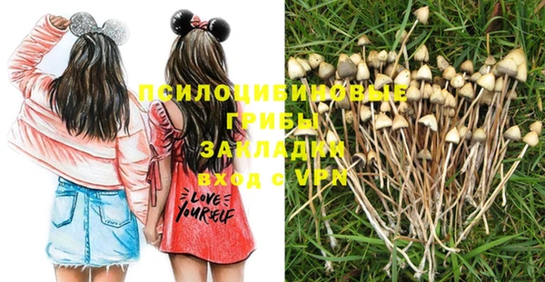 первитин Белокуриха