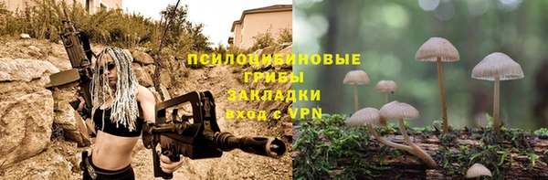 первитин Белокуриха