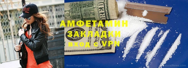 прущие грибы Беломорск