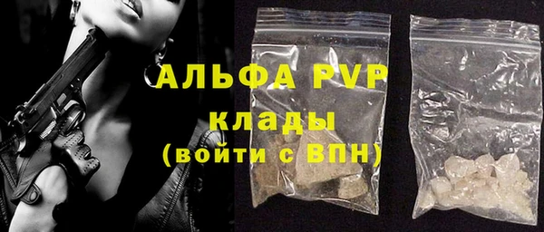винт Пересвет