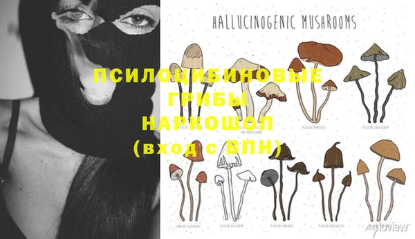spice Белоозёрский