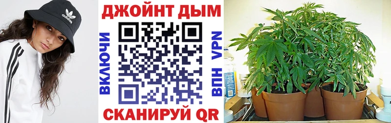 Каннабис SATIVA & INDICA  Электрогорск 